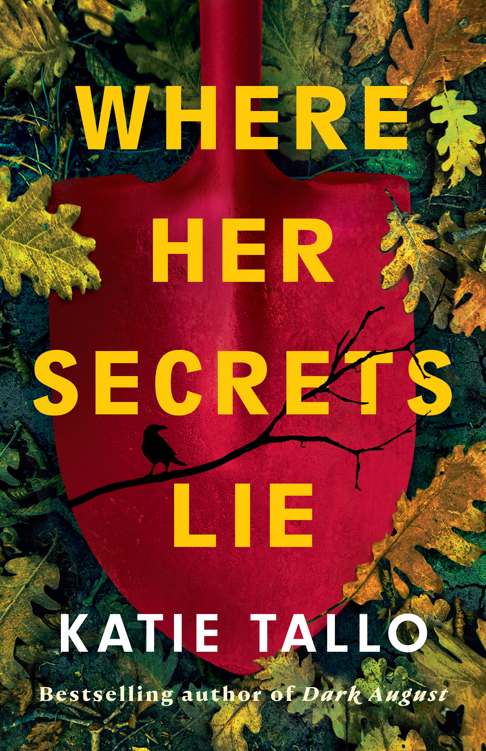 Tallo-WhereHerSecretsLie-34248-FT David Halpern